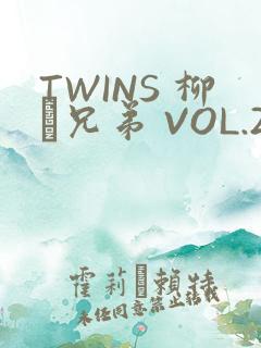 TWINS 柳澤兄弟 VOL.2