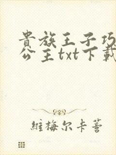 贵族王子巧遇穷公主txt下载