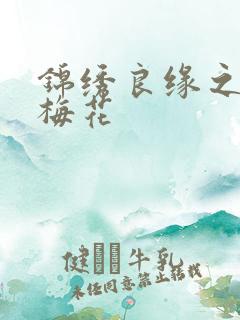 锦绣良缘之驿寄梅花