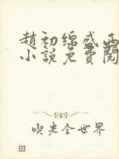 赵初绵盛西舫的小说免费阅读