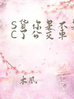 S货你是不是欠C了公交车