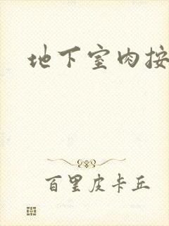 地下室肉按摩椅