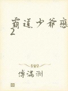 霸道少爷恋上我2