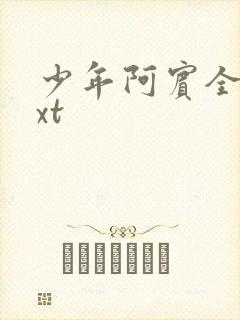 少年阿宾全集txt