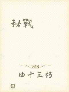 秘战