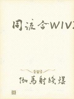 同流合W1V2