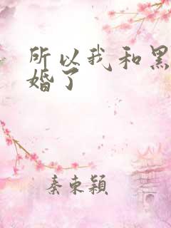 所以我和黑粉结婚了