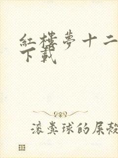 红楼梦十二金钗下载