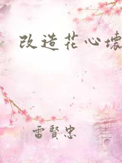 改造花心坏相公