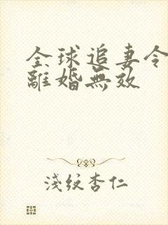 全球追妻令老婆离婚无效