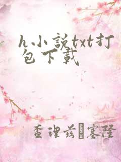 h小说txt打包下载