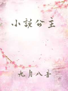 小说公主
