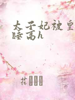 太子妃被皇上强睡高h