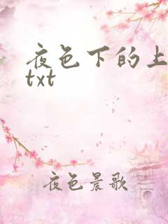 夜色下的上海滩txt