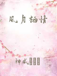 风月栖情
