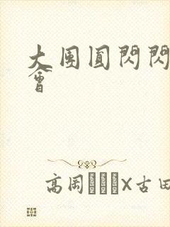 大团圆闪闪相亲会