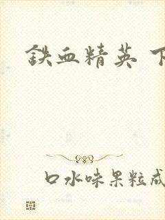 铁血精英 下载