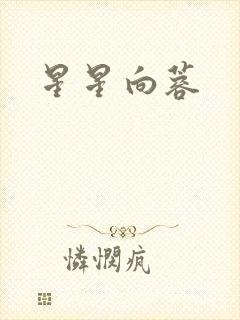 星星向蓉