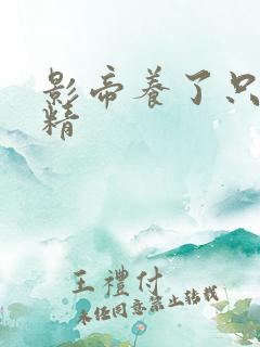 影帝养了只兰花精