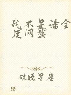 我不是潘金莲百度网盘