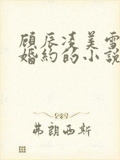 顾辰凌美雪五份婚约的小说名字叫什么