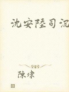沈安陆司沉小说