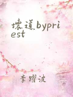 坏道bypriest