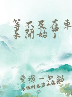 等不及在车里就来开始了