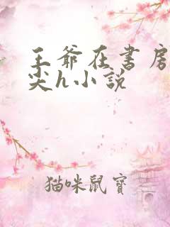 王爷在书房含乳尖h小说