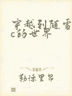 穿越到随处可以c的世界