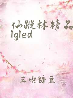 仙踪林精品zzlgled