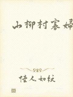 山柳村寡妇情史