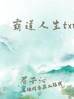 霸道人生txt