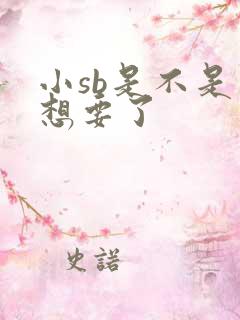 小sb是不是又想要了