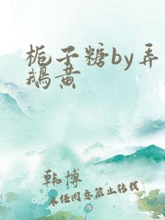 栀子糖by弄白鹅黄