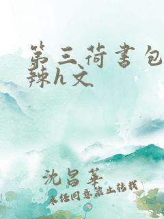 第三荷书包网高辣h文