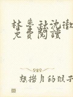 林梦秋沈彻姜衡免费阅读