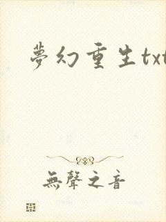梦幻重生txt