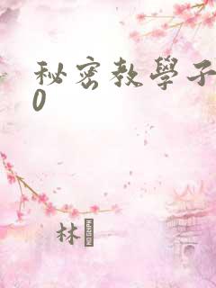 秘密教学子豪40