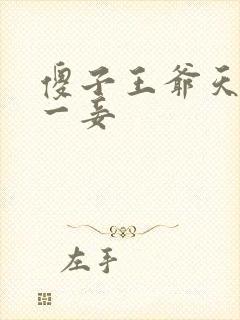 傻子王爷天下第一妾