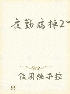 夜勤病栋2下载