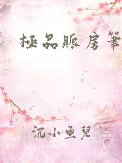 极品账房笔趣阁