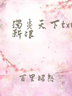 独步天下txt新浪