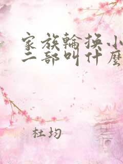 家族轮换小说第二部叫什么名字