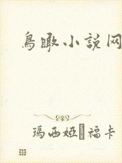 鸟瞰小说网