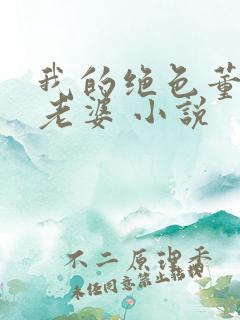 我的绝色董事长老婆 小说