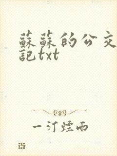 苏苏的公交车日记txt