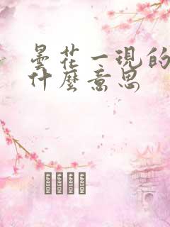 昙花一现的现是什么意思