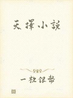 天择小说