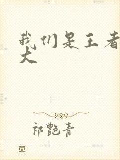 我们是王者立海大